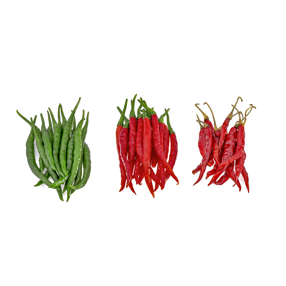 Chilly Ind Buy Chilli Indam 54 Online – Indo American Hybrid Seeds