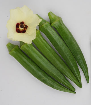 Bhendi Indam Madhuri