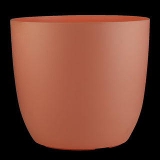 Mini Ronda - Self Watering Kit