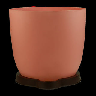 Ronda1412 - Self Watering Kit