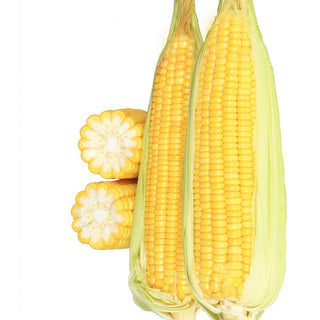 Sweetcorn Indam Suruchi