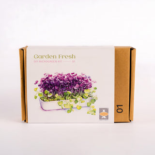 Diy Microgreen Kit 1