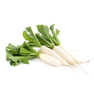 Radish Indam Long White